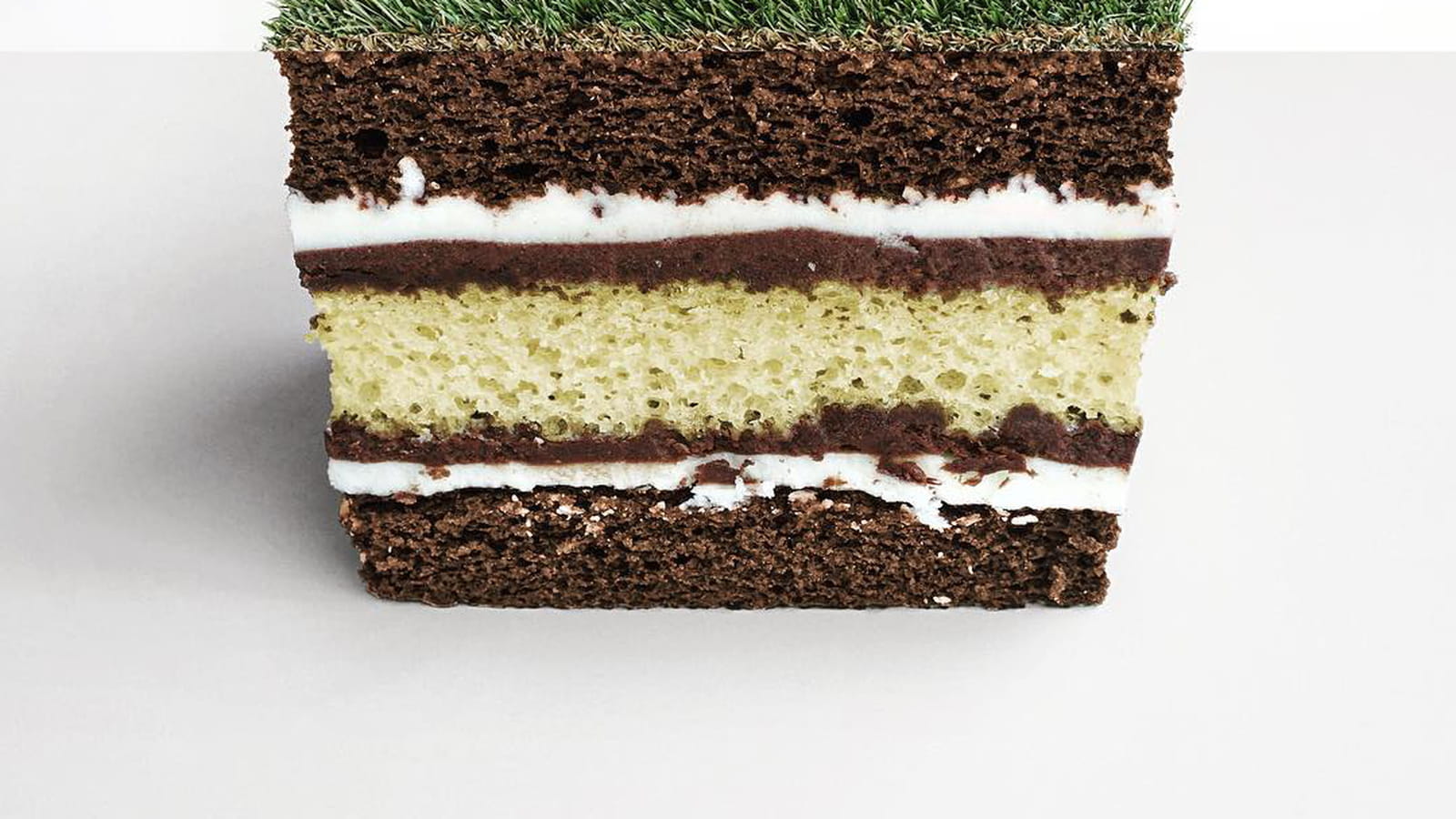 Un gâteau comme un jardin