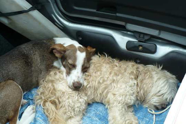 Repos bien m&eacute;rit&eacute;