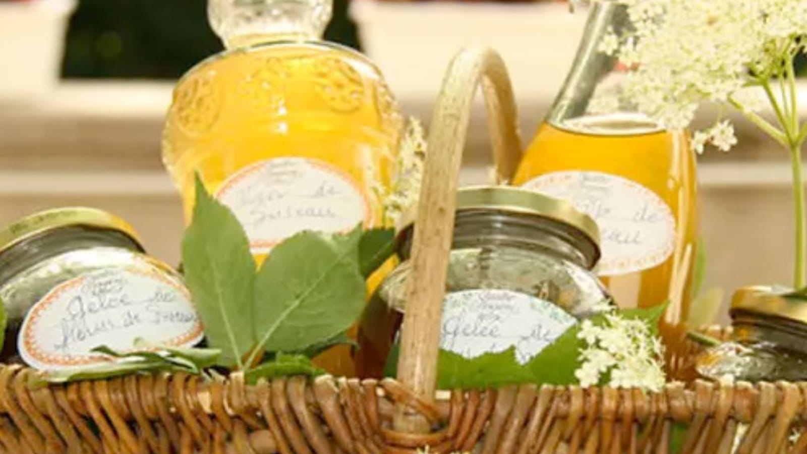 Gelée de fleurs de Sureau