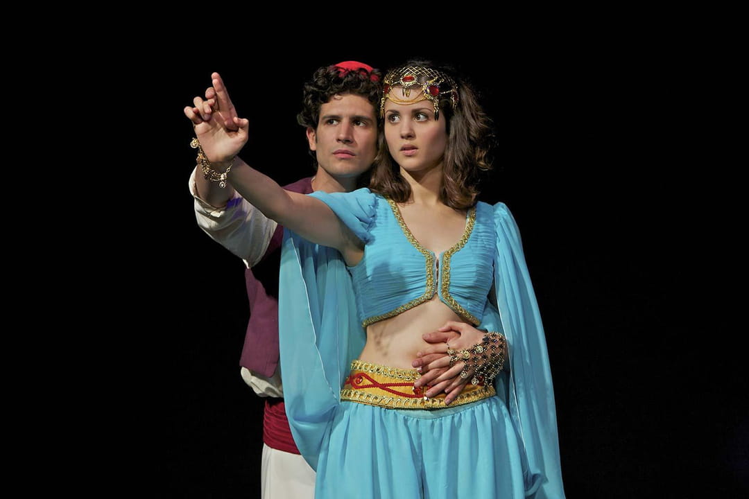 aladin-theatre-du-palais-royal