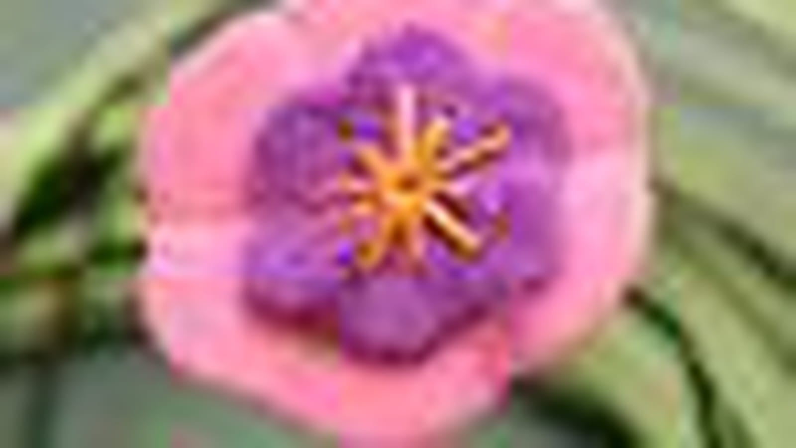 Décorer d'une fleur