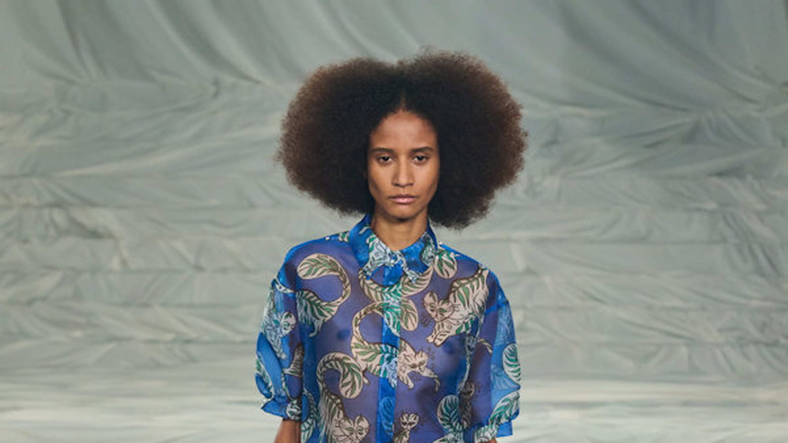 Rochas