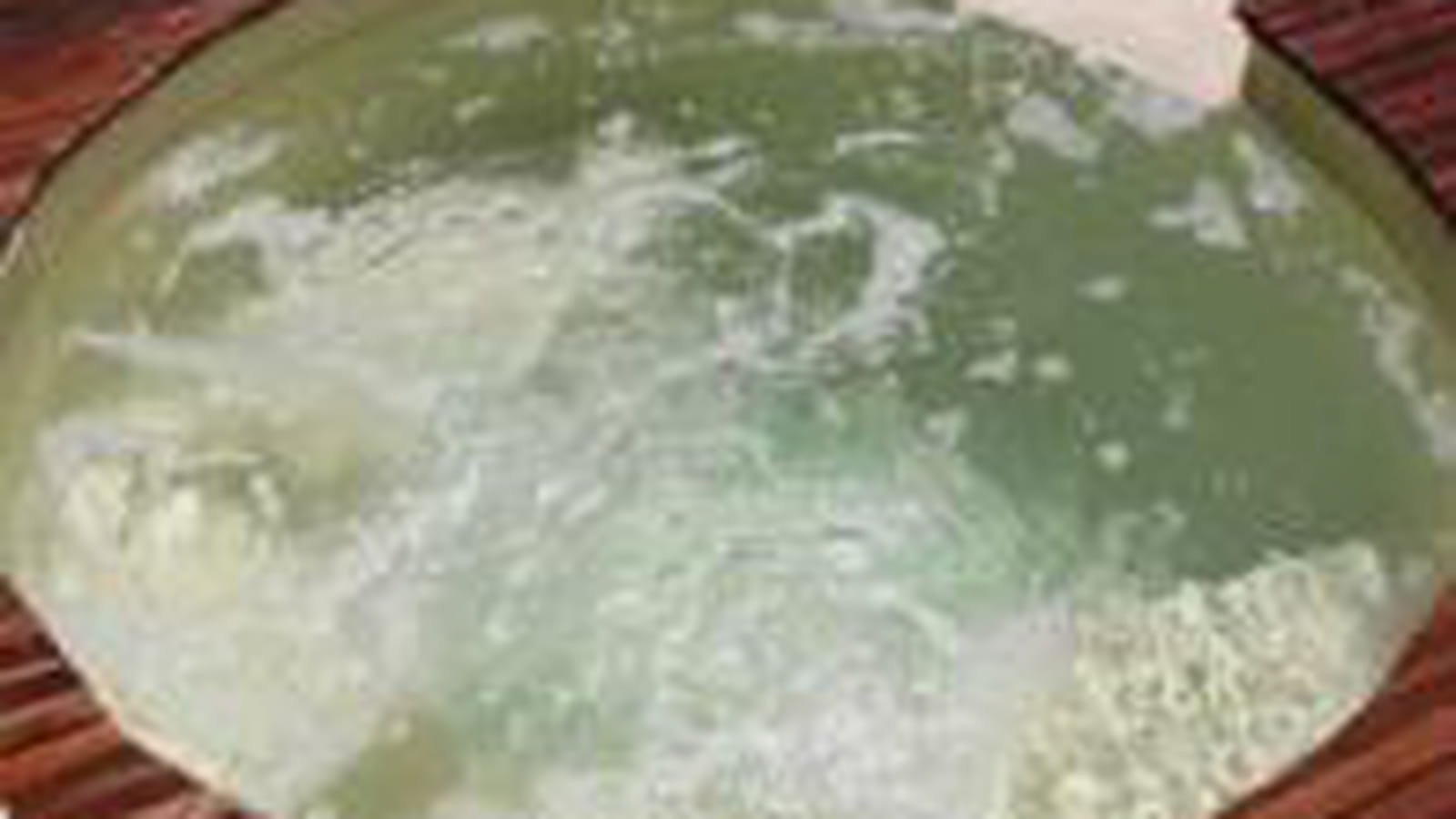 Spa : Or