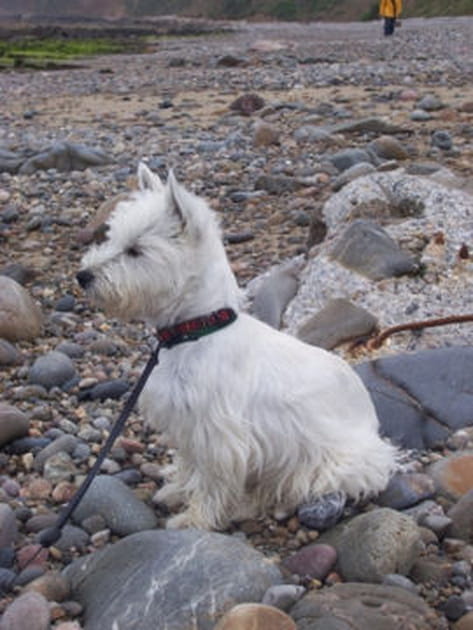 Coquillages et crustac&eacute;es