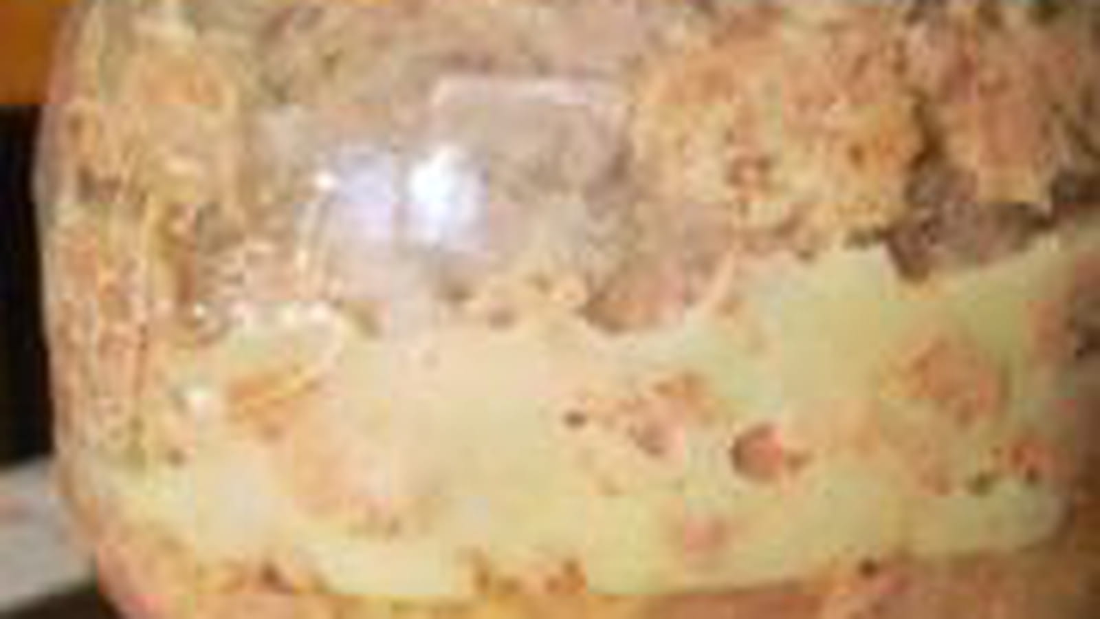 Terrine de foies de canard