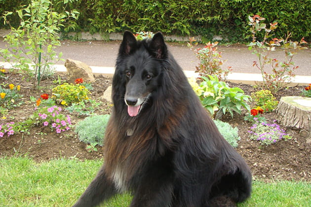 Aussi beau qu'une star de cinéma