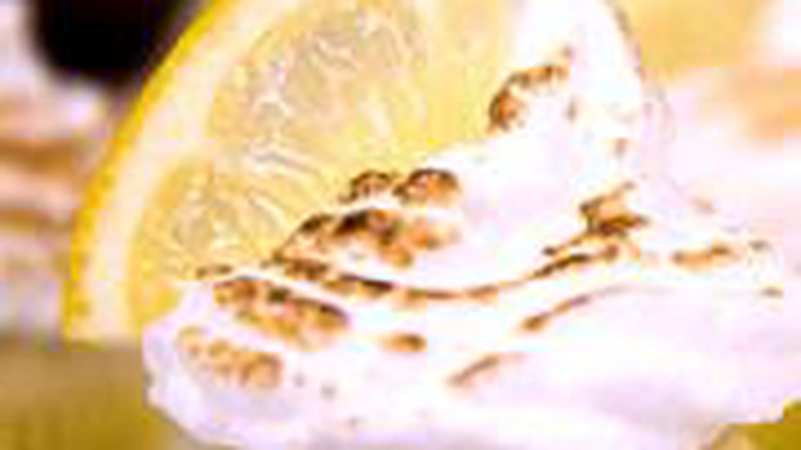 Cupcakes coeur citron meringués