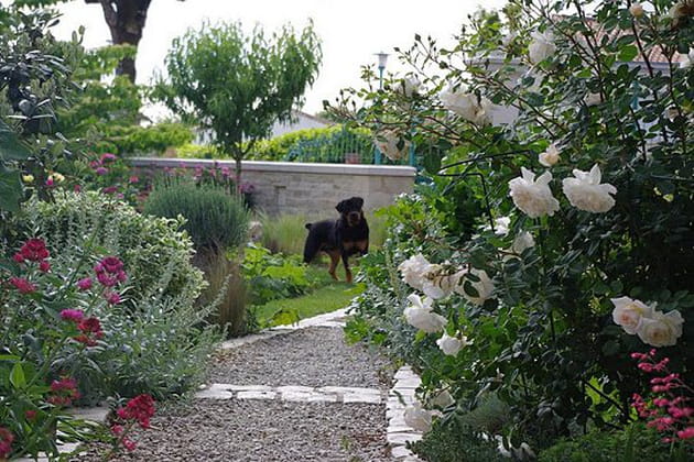 Un paradis pour les animaux