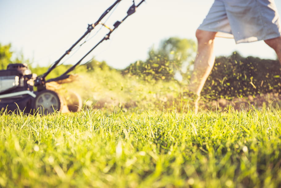 Tondre en mulching : les conseils pour se lancer !
