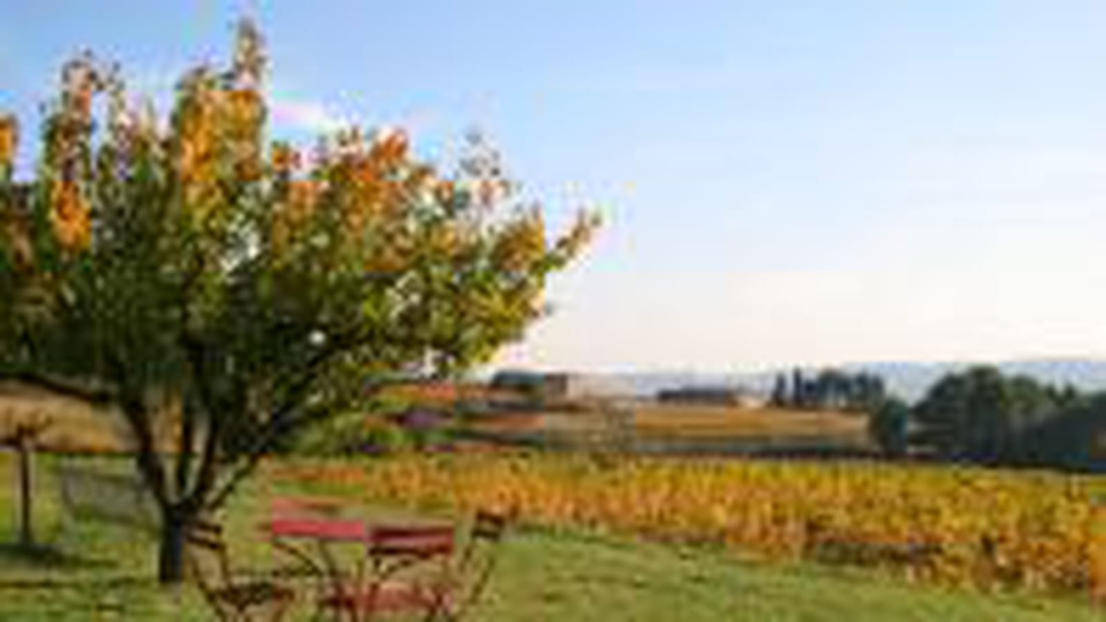 Jardins d'automne