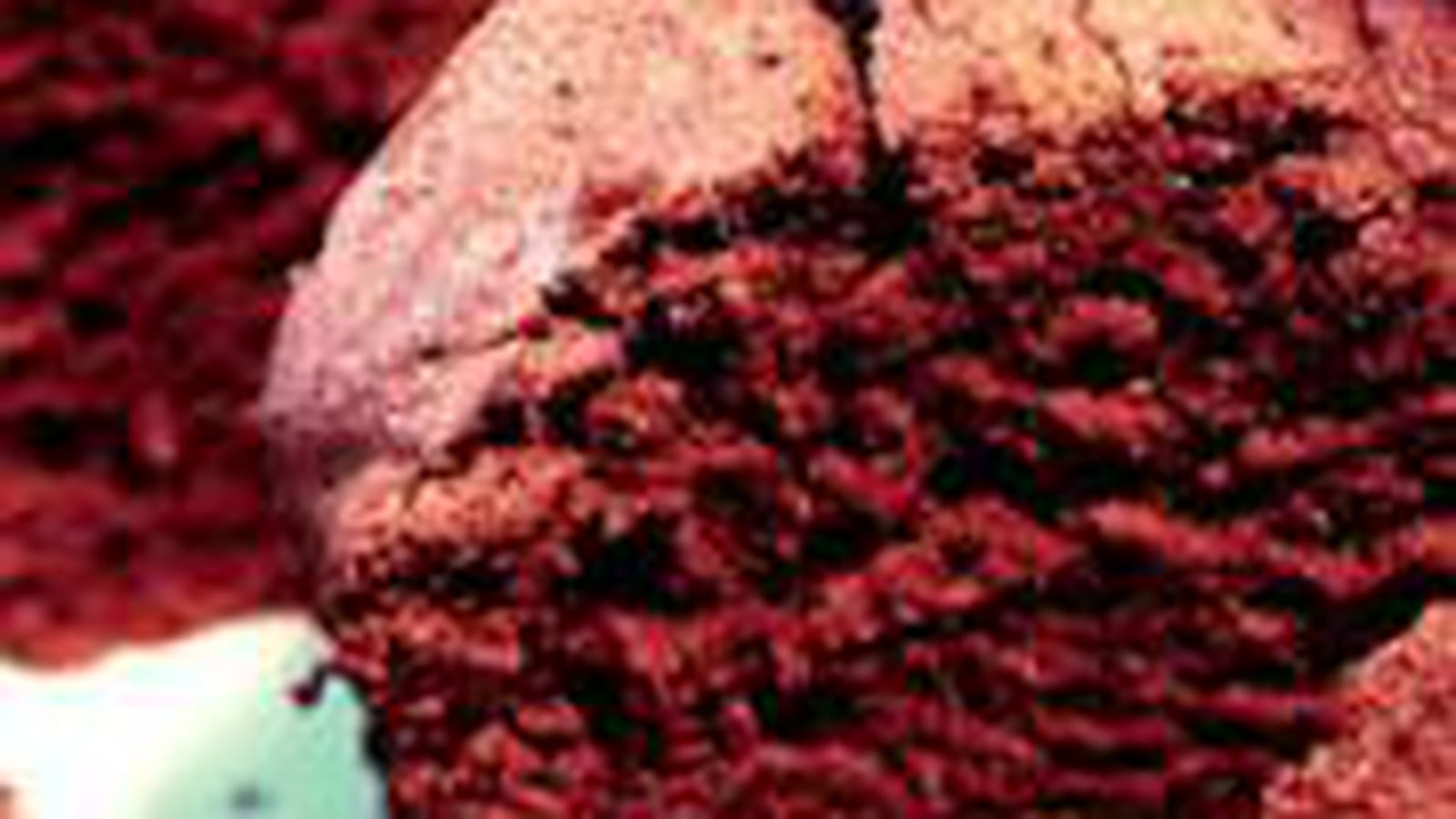 Cake au Chocolat et Philadelphia® moelleux