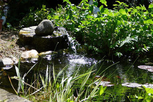 Le printemps autour de la mare