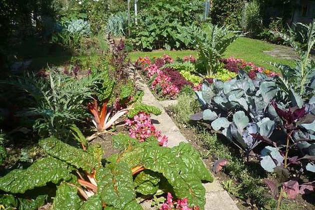Un magnifique potager