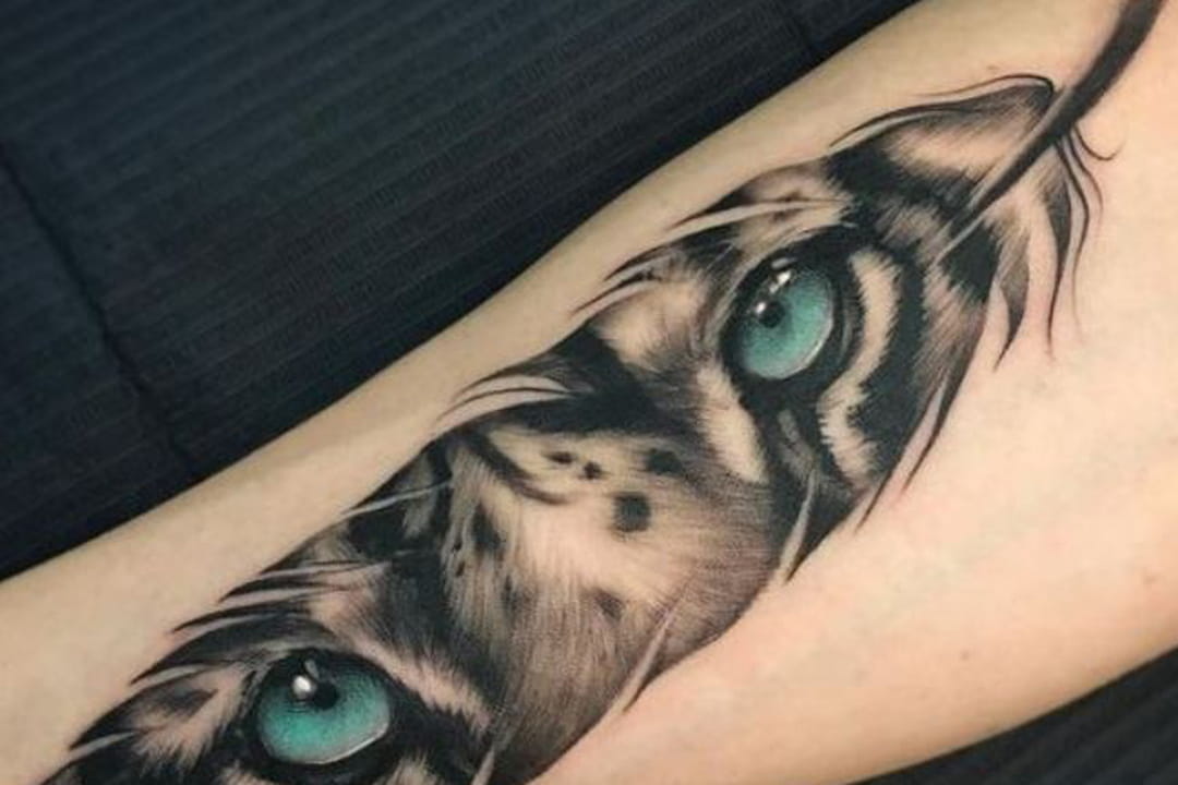 Regard de tigre sur l'avant-bras