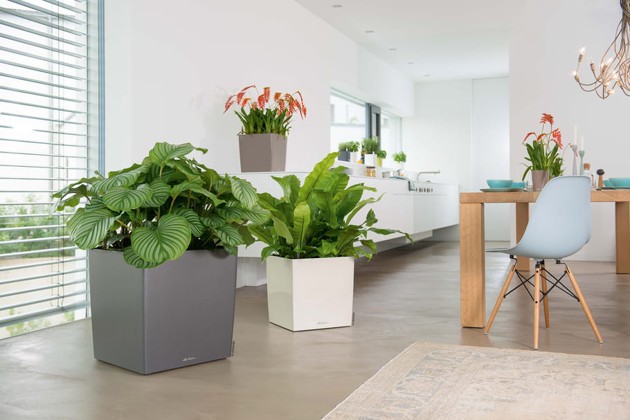 Design : offrez-vous une ambiance végétale et tendance