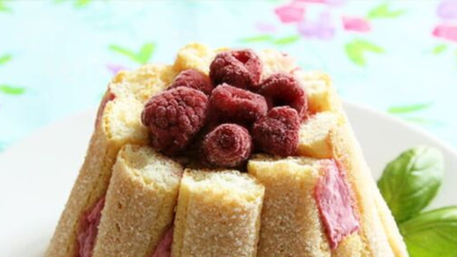 Charlotte aux framboises et au fromage blanc