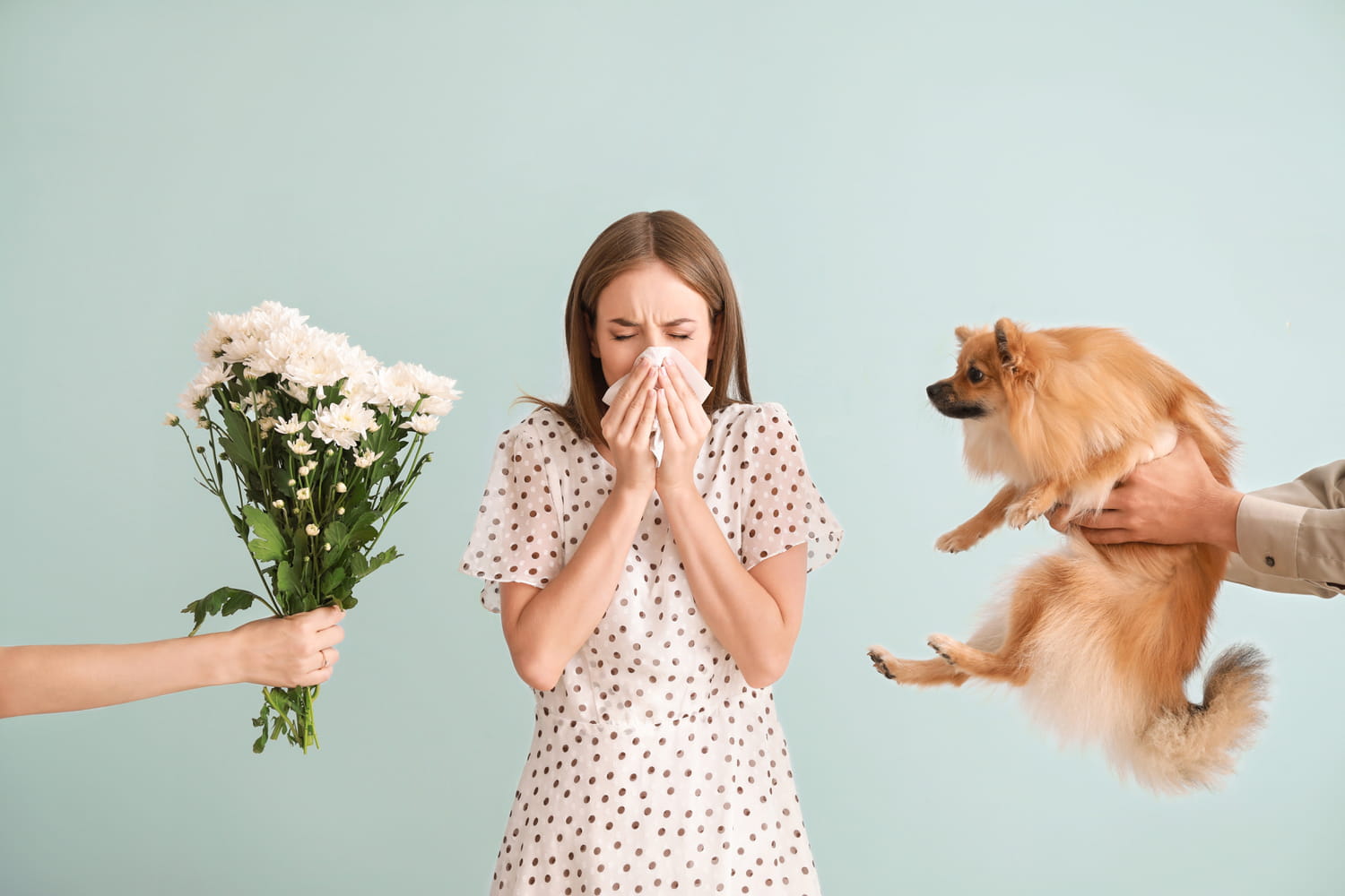 Rhinite allergique : les 5 symptômes, comment se soigner ?