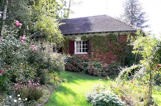 Mon jardin en automne