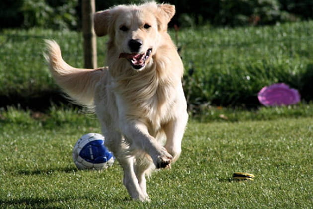 Arriv&eacute;e en trombe