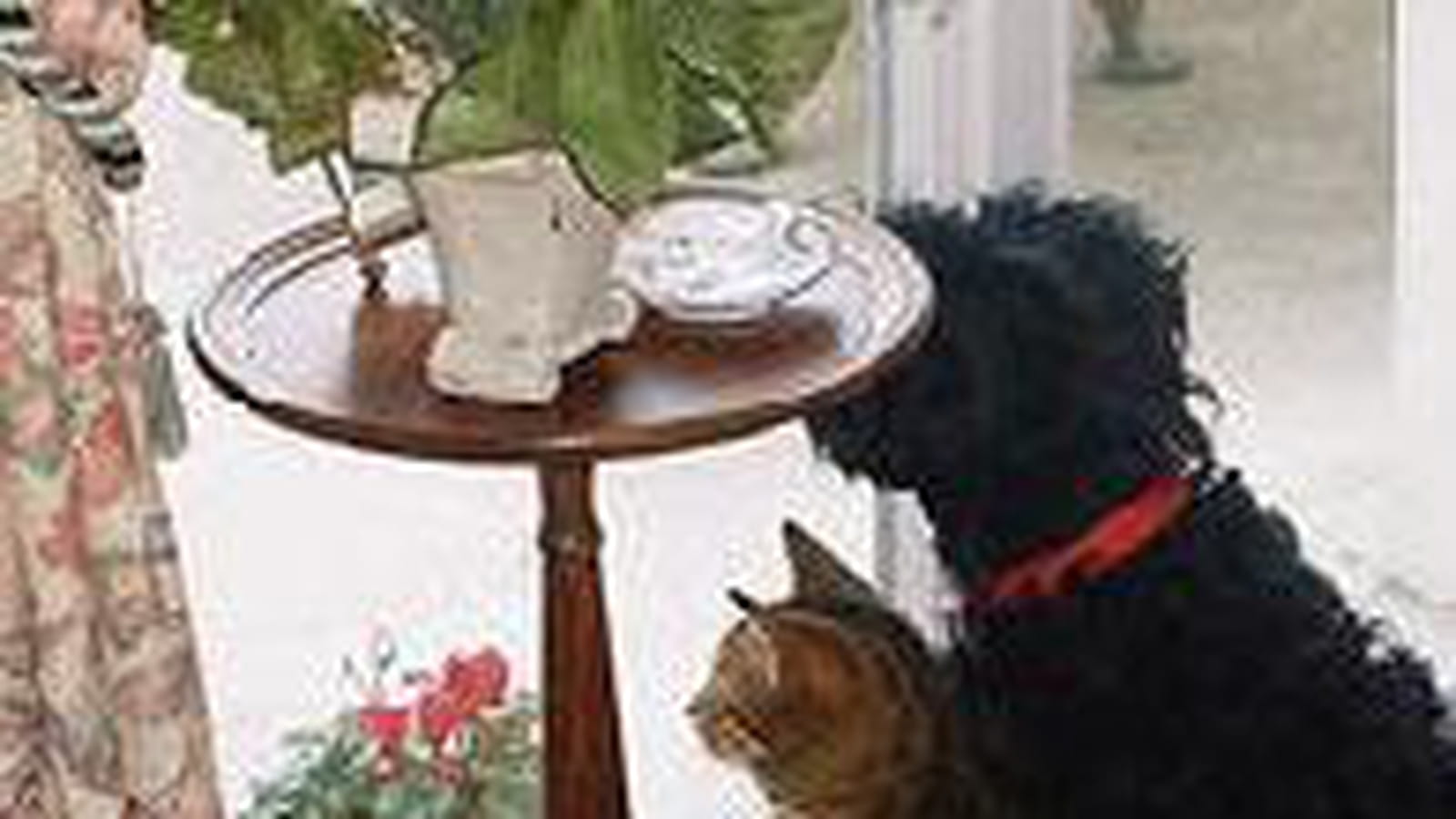 Un divan pour deux
