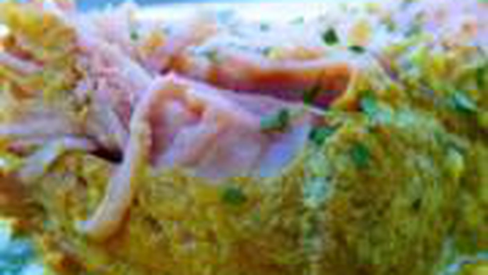 Curry de rôti de veau 