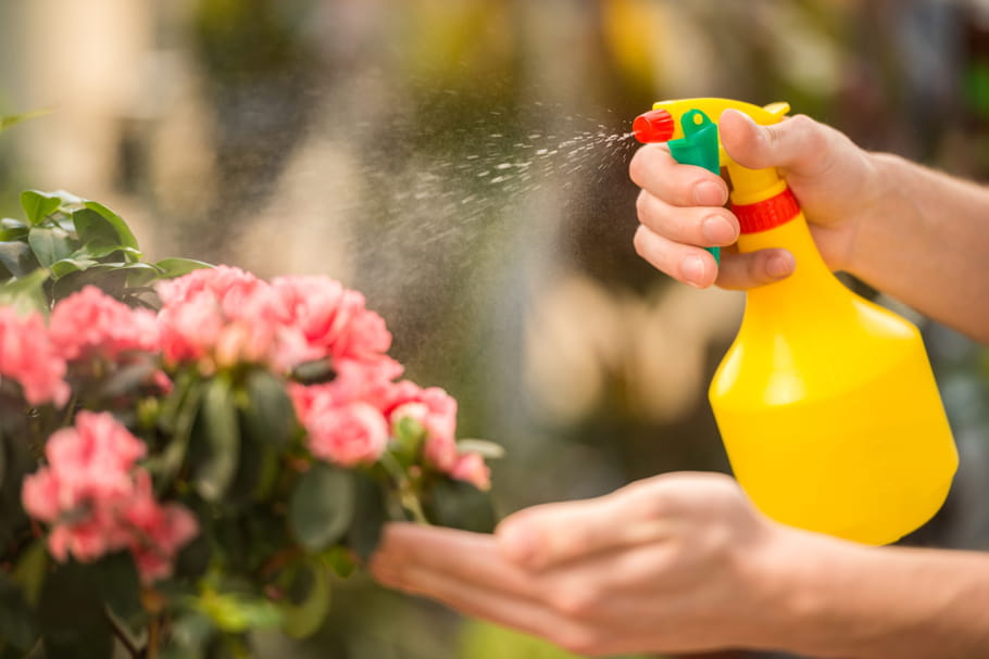 Comment fabriquer des insecticides naturels ?