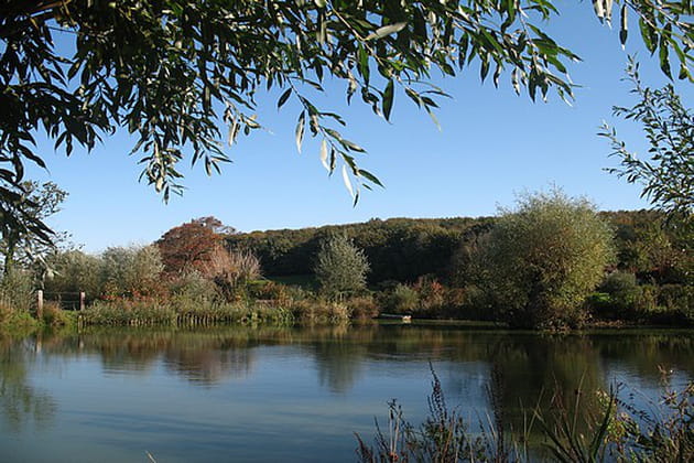Une &eacute;l&eacute;gante chambre d'eau