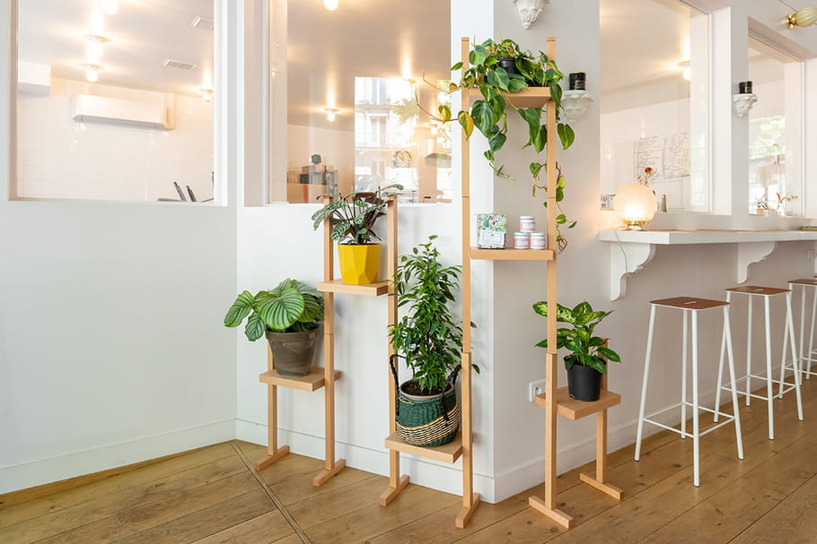 Le Vivant, une nouvelle e-boutique dédiée aux green addicts !