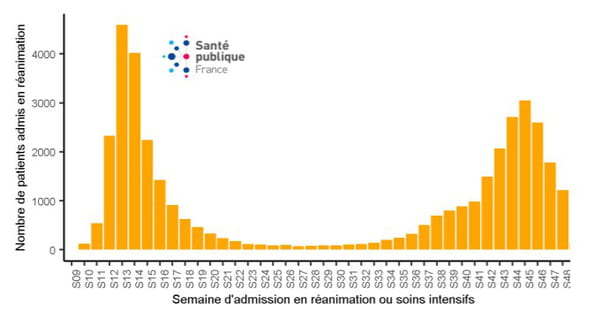 courbe réanimation covid-19