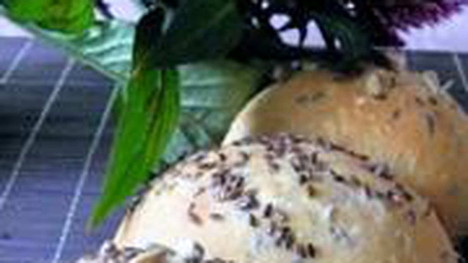 Pain céréales et huile d'olive