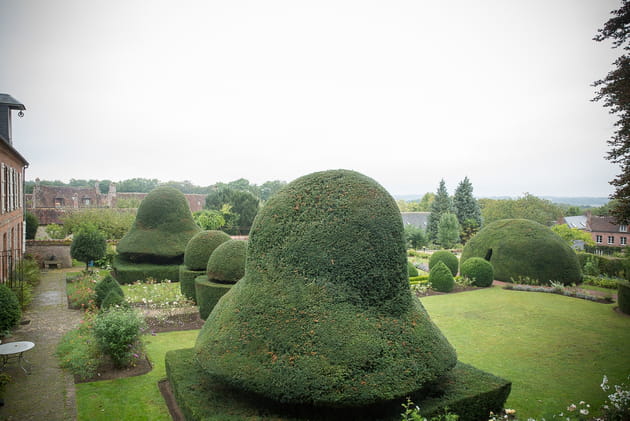 L'art topiaire à l'honneur