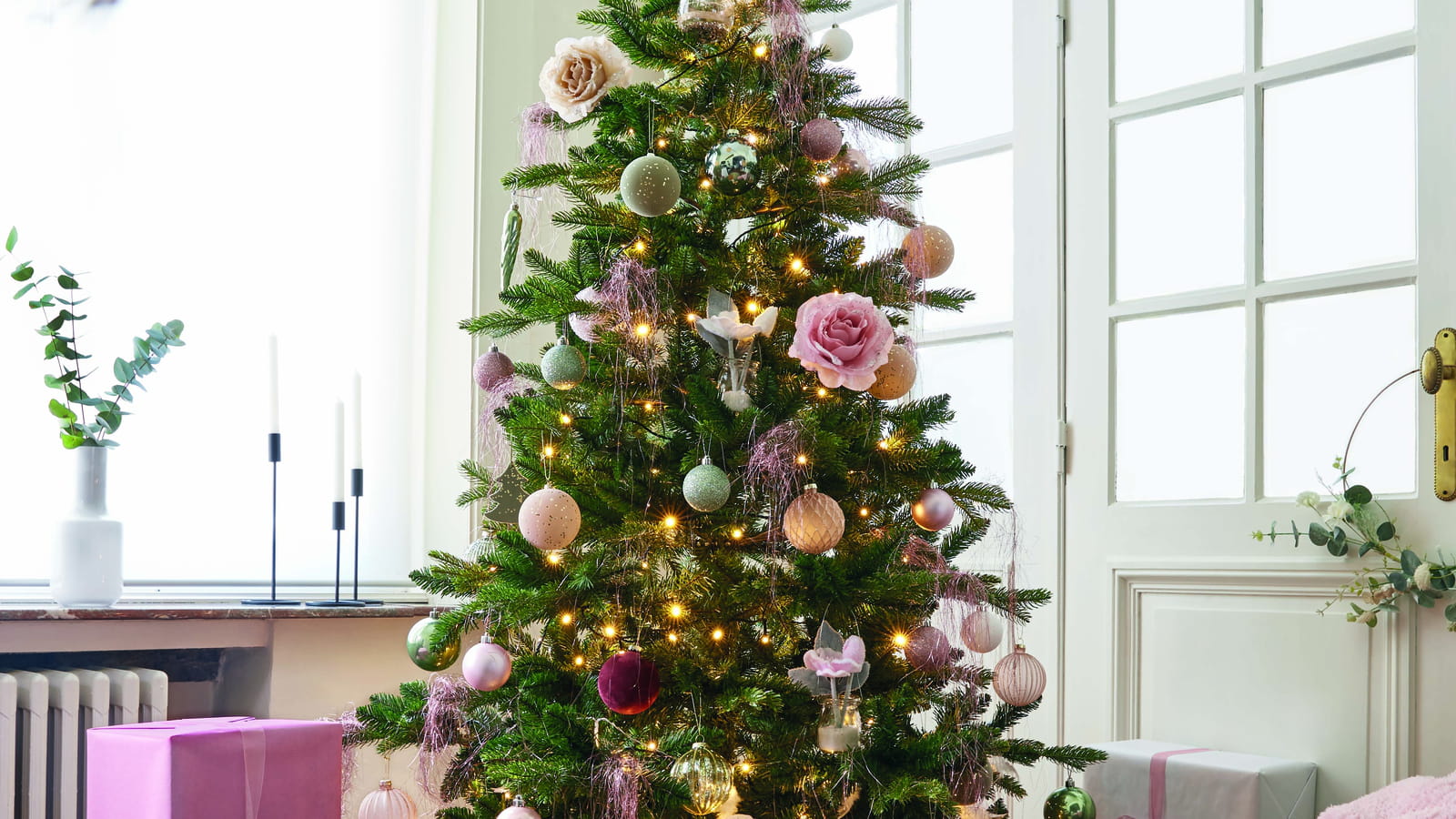 Noël rose