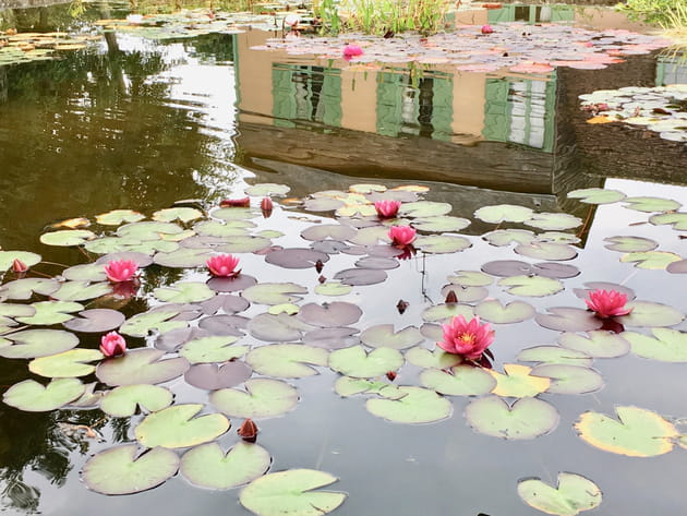 Des reflets po&eacute;tiques