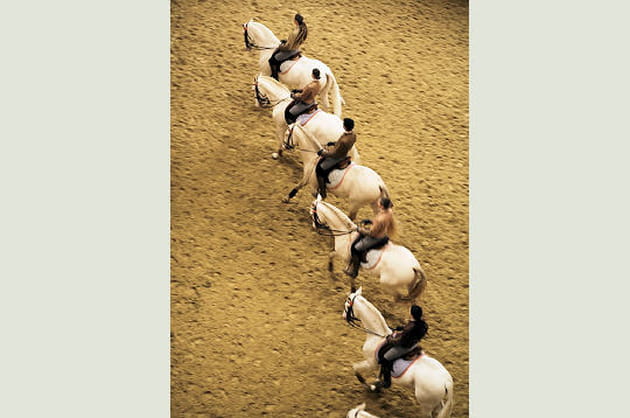 Des spectacles aux quatre coins de la France