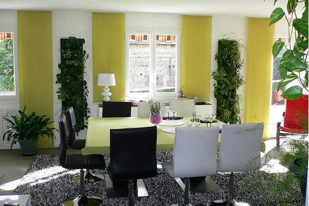 Colonnes végétales