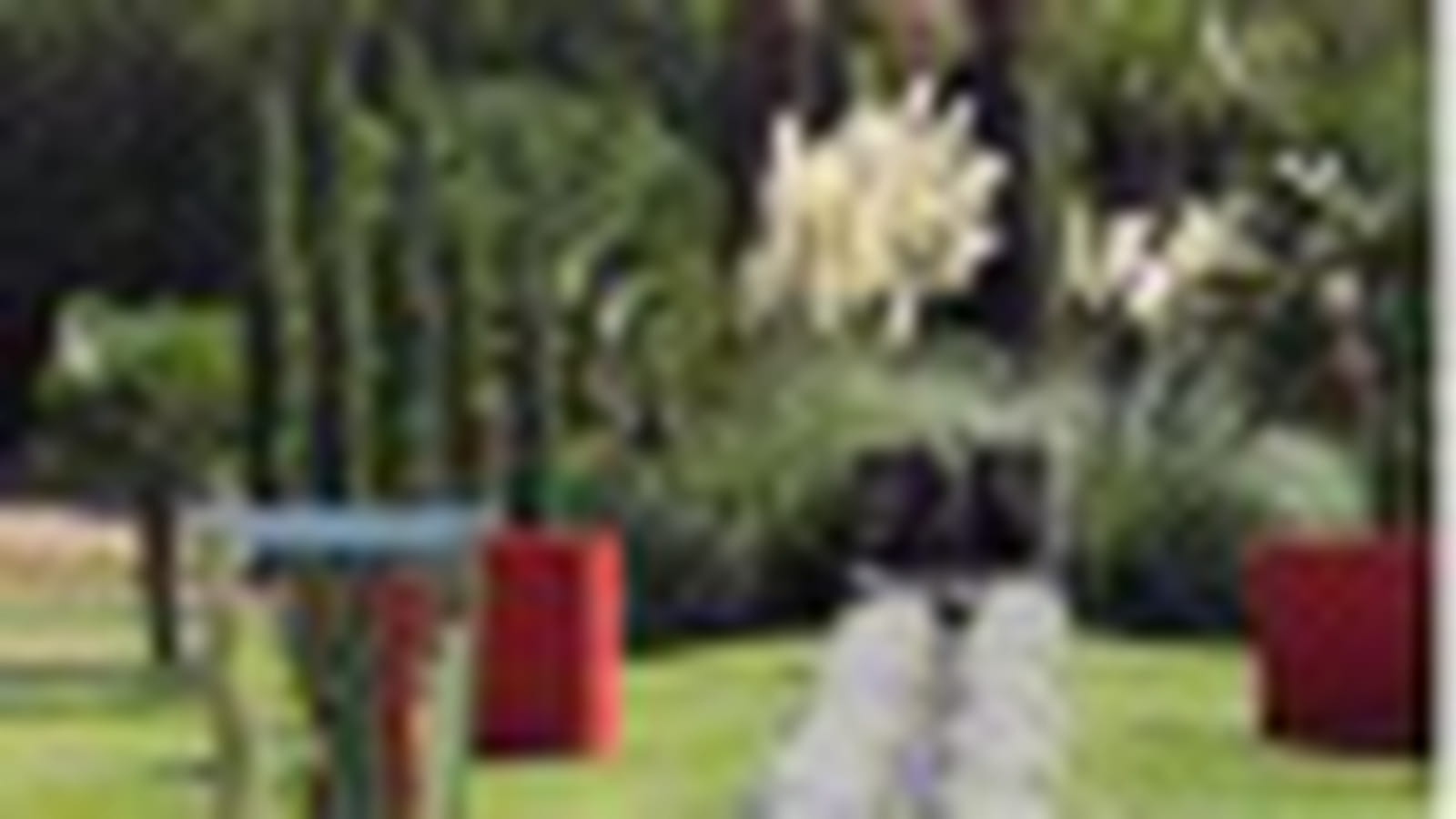 Jardin