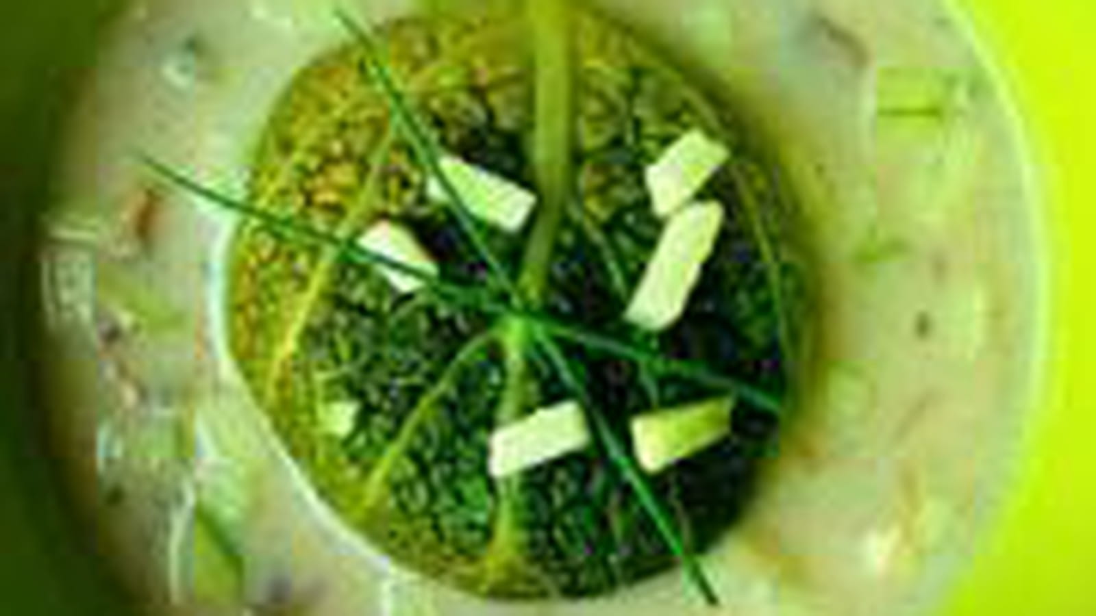 Paupiettes de saumon