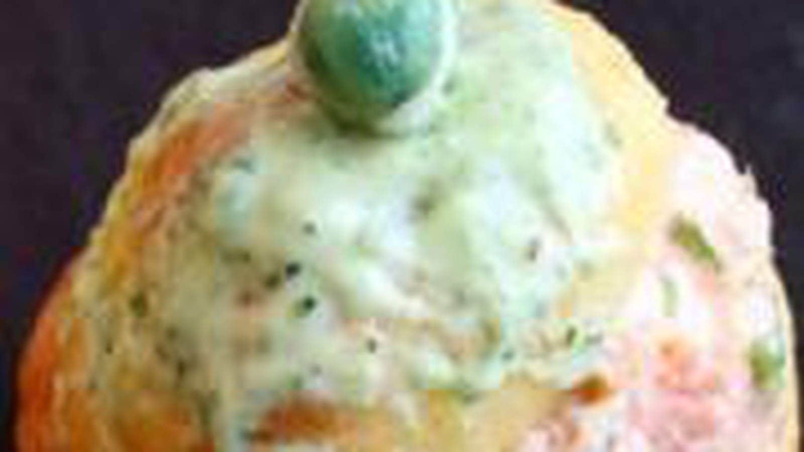 Petits choux truite fumée wasabi