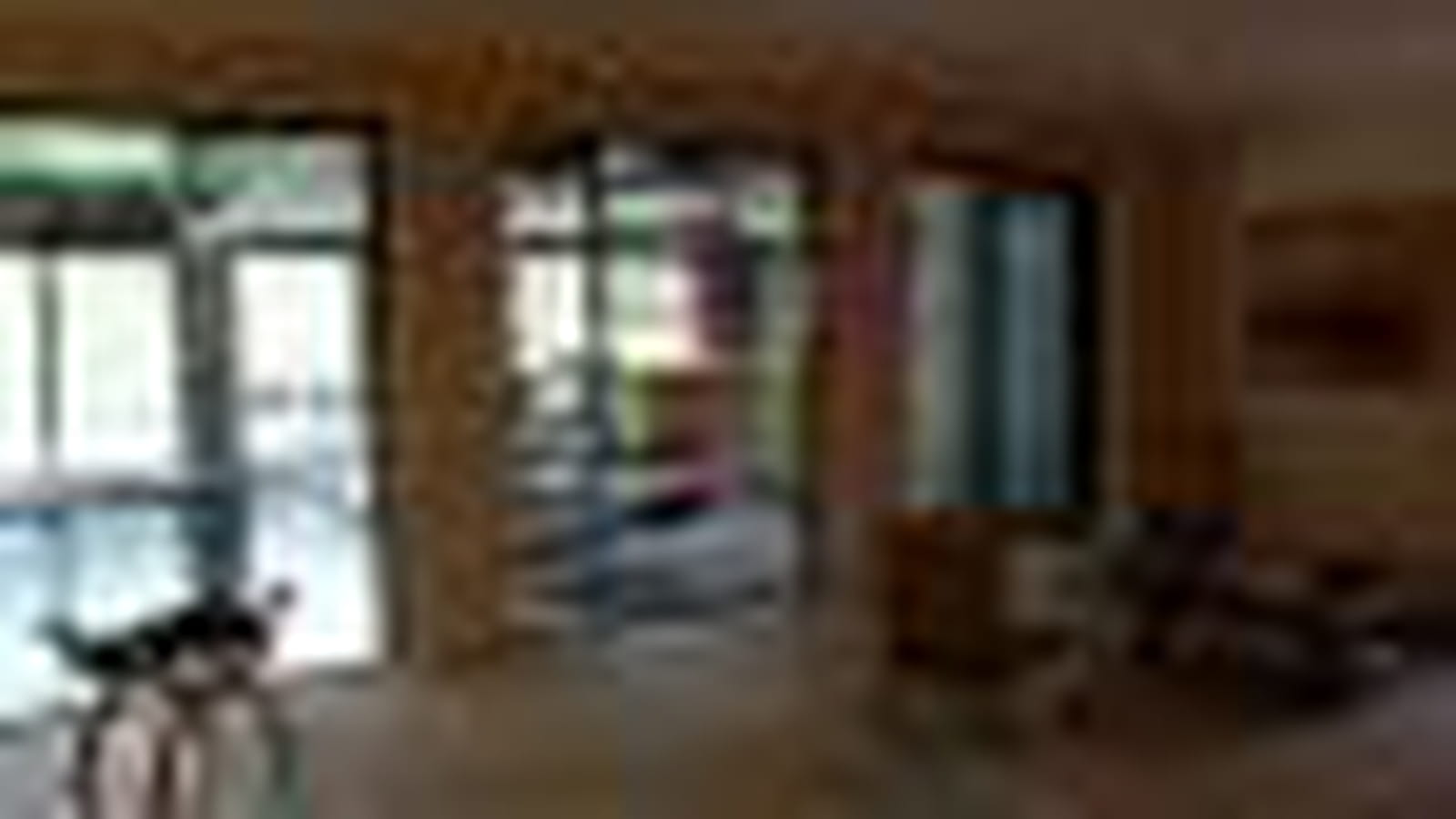 Le petit salon