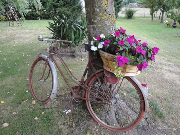 Les derni&egrave;res pens&eacute;es de la saison