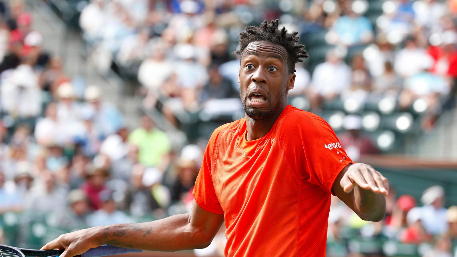 Gael Monfils