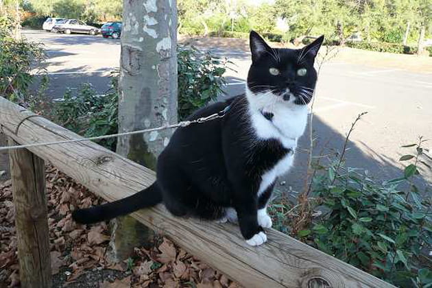 Une grande voyageuse