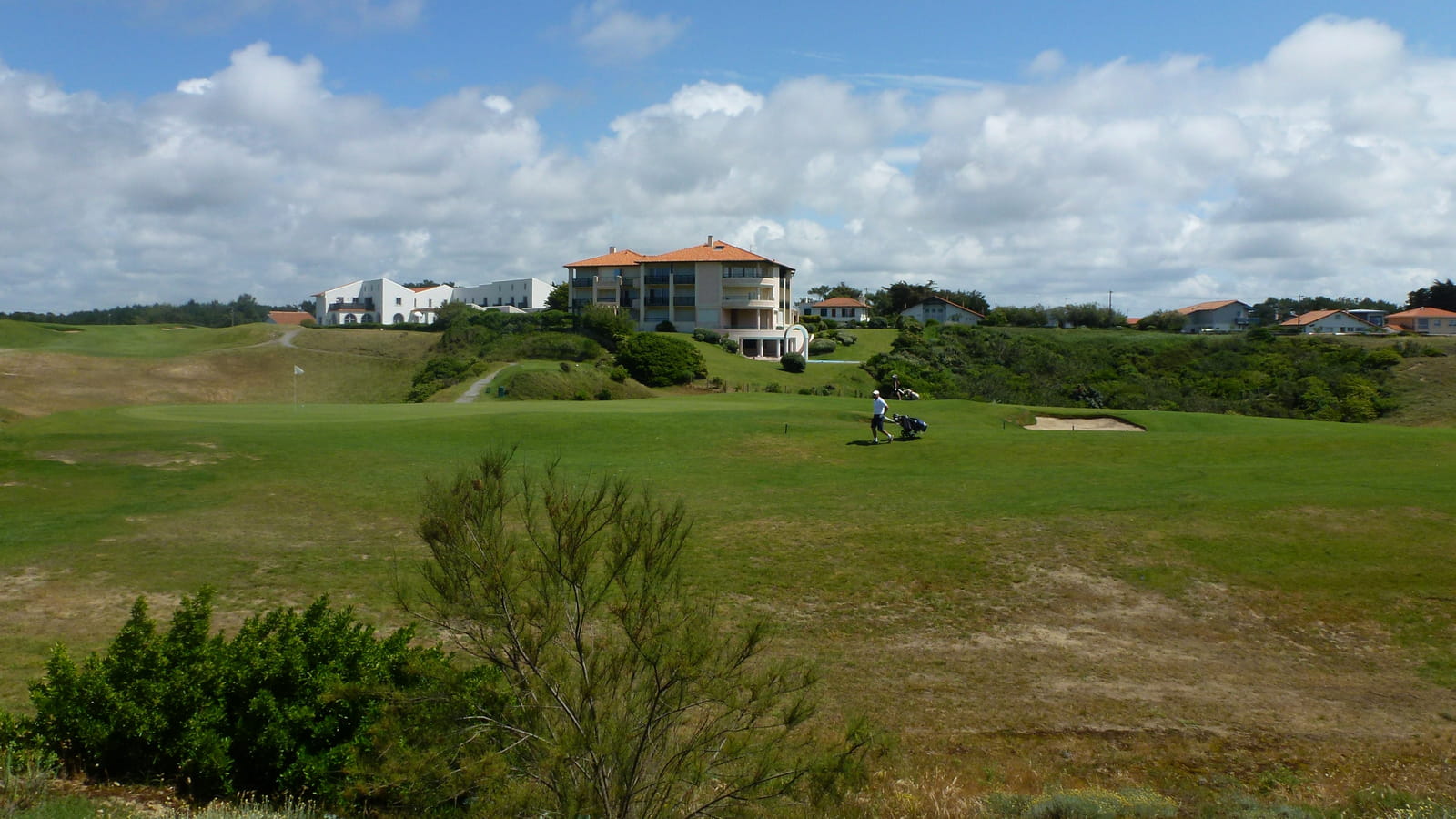 Le golf