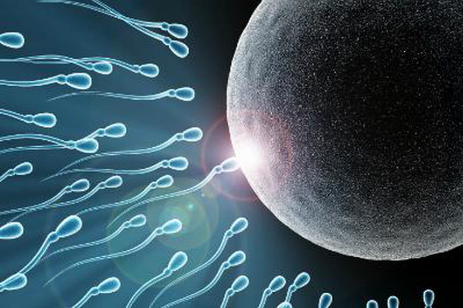 Tomber enceinte : le sperme plus fécond en hiver ?