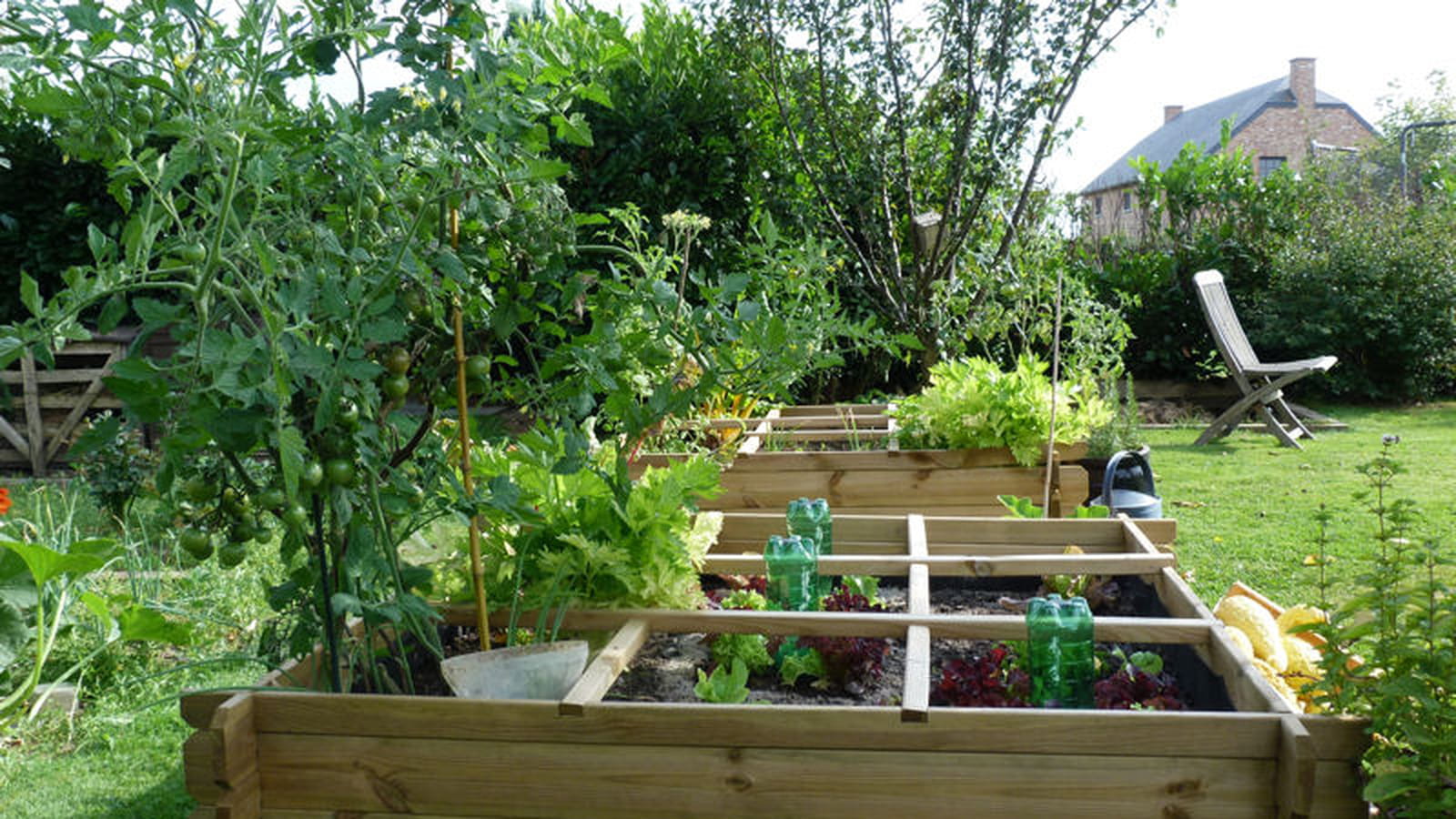 Potager
