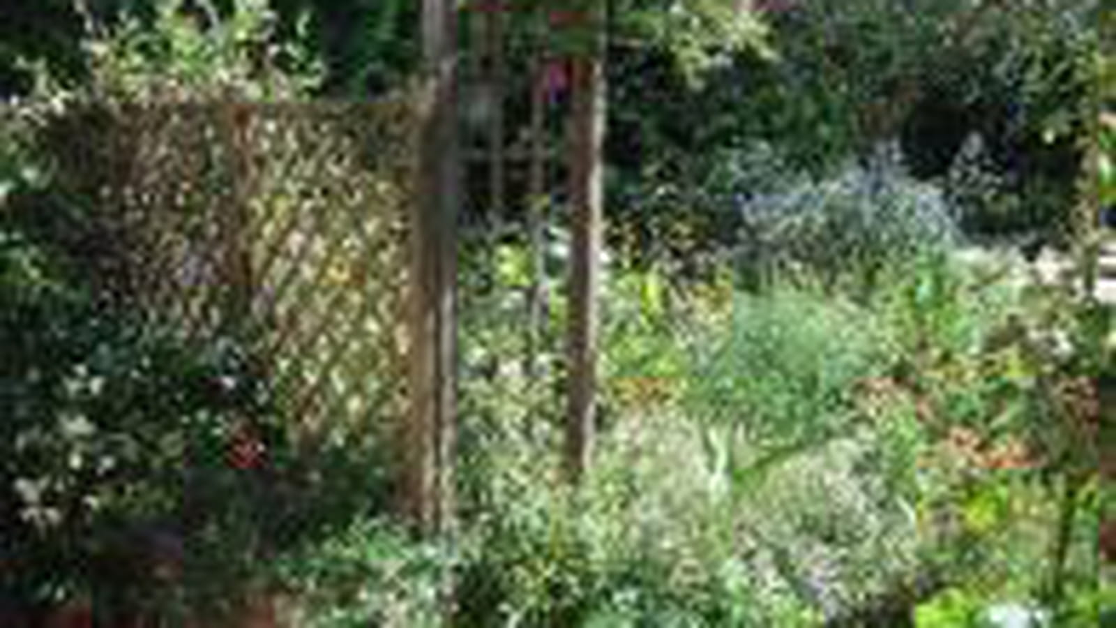 Jardinières