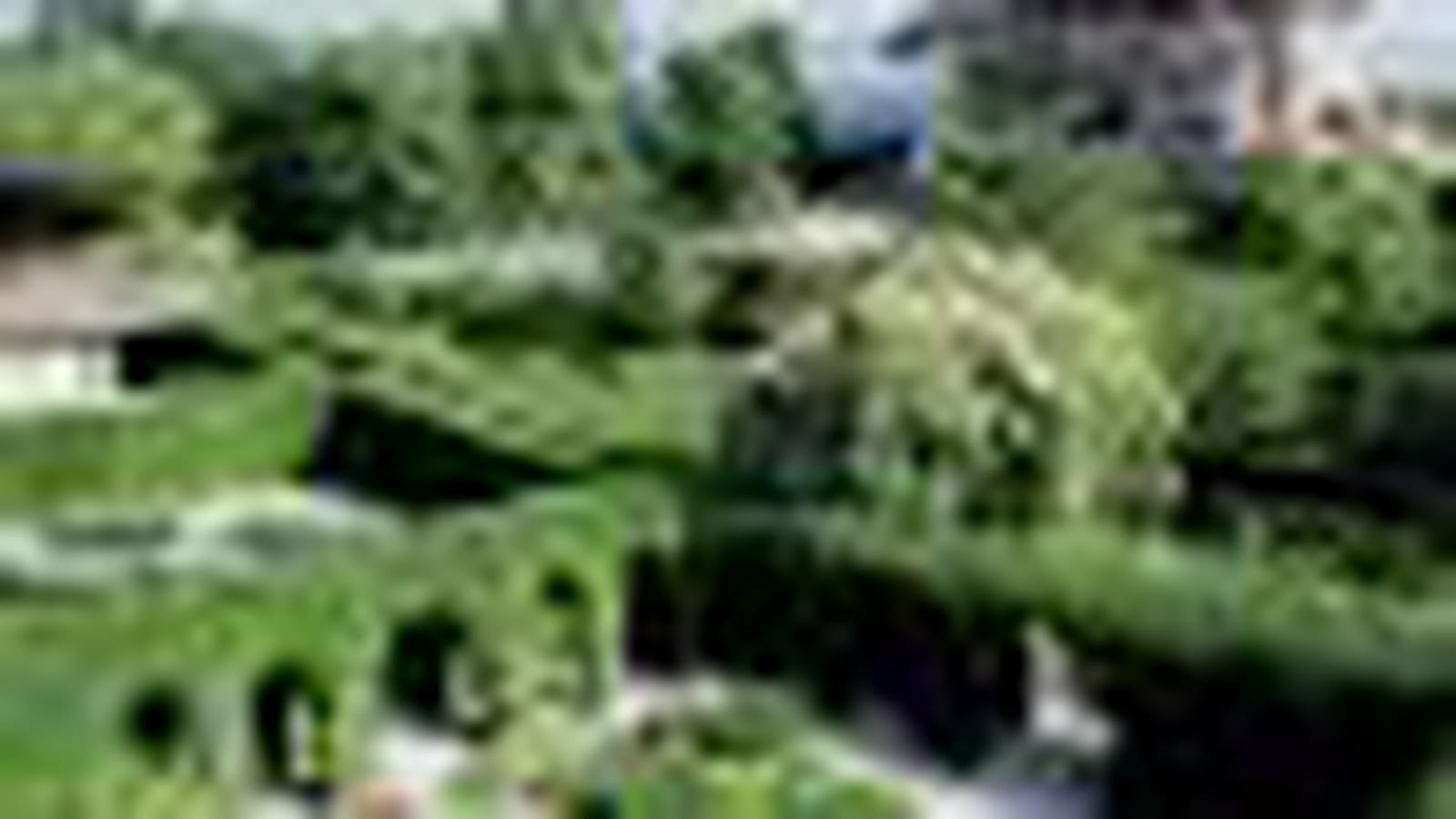 Jardin des Cinq Sens