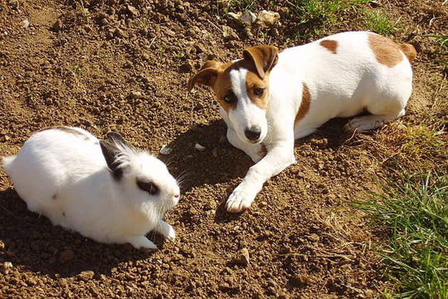 Justin, la rock star