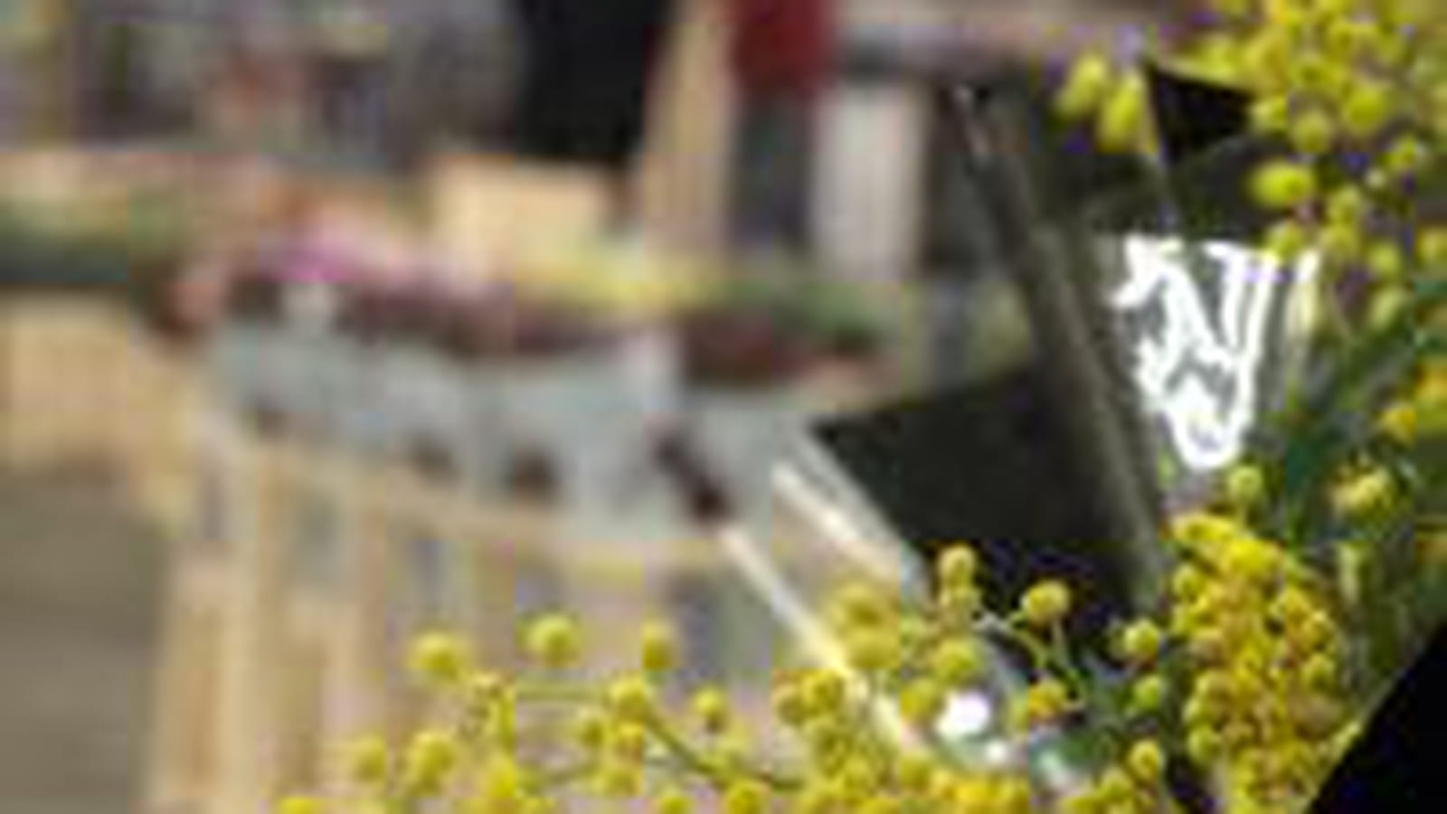 50 millions de bouquets