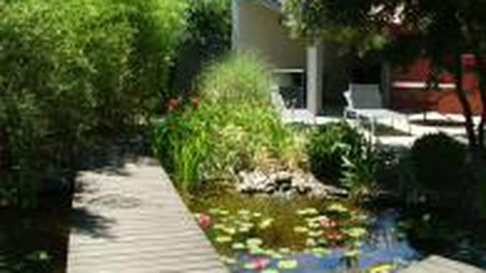 Jardin japonisant dans le Sud